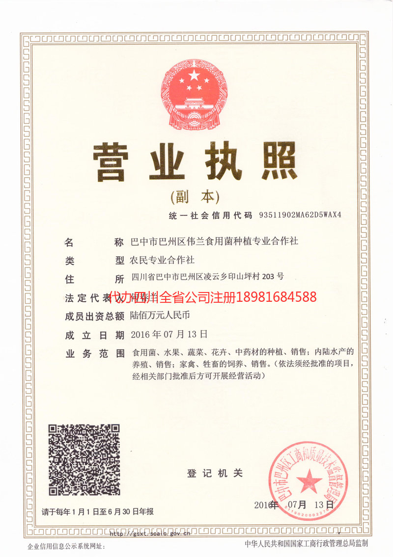 漯河漯河伟兰食用菌种植专业合作社